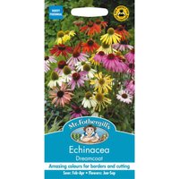 Mr. Fothergill's Echinacea Dreamcoat (Echinacea Purpurea) Seeds
Mr. Fothergill's Echinacea Dreamcoat (Echinacea Purpurea) Seeds