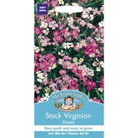 Mr. Fothergill's Stock Virginian Mixed Seeds
Mr. Fothergill's Stock Virginian Mixed Seeds