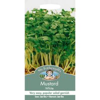 Mr. Fothergill's Mustard White (Brassica Sinapsis Alba) Seeds
Mr. Fothergill's Mustard White (Brassica Sinapsis Alba) Seeds
