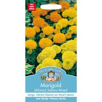 Mr. Fothergill's Marigold African Sahara Mixed Seeds
Mr. Fothergill's Marigold African Sahara Mixed Seeds