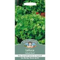 Mr. Fothergill's Lettuce Salad Bowl (Lactuca Sativa) Seeds 
Mr. Fothergill's Lettuce Salad Bowl (Lactuca Sativa) Seeds