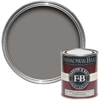 Farrow & Ball Exterior Eggshell Paint Mole's Breath - 750ml
Farrow & Ball Exterior Eggshell Paint Mole's Breath - 750ml