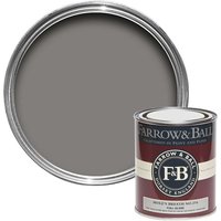 Farrow & Ball Full Gloss Paint Mole's Breath - 750ml
Farrow & Ball Full Gloss Paint Mole's Breath - 750ml