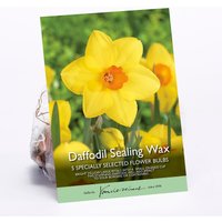 Daffodil Sealing Wax
Daffodil Sealing Wax