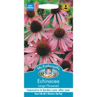 Mr. Fothergill's Echinacea Large Flowered Seed
Mr. Fothergill's Echinacea Large Flowered Seed