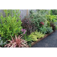 Evergreen Border Collection - 8m x 90cm
Evergreen Border Collection - 8m x 90cm