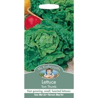 Mr. Fothergill's Lettuce Tom Thumb (Lactuca Sativa) Seeds
Mr. Fothergill's Lettuce Tom Thumb (Lactuca Sativa) Seeds