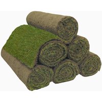 Classic Fresh Turf - 40 Rolls / 40sq m coverage
Classic Fresh Turf - 40 Rolls / 40sq m coverage