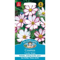 Mr. Fothergill's Cosmos Candy Stripe Seeds 
Mr. Fothergill's Cosmos Candy Stripe Seeds