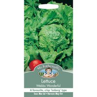 Mr. Fothergill's Lettuce Webbs Wonderful (Lactuca Sativa) Seeds
Mr. Fothergill's Lettuce Webbs Wonderful (Lactuca Sativa) Seeds