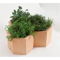 Hexagonal Terracotta Herb Pot - 25cm
Hexagonal Terracotta Herb Pot - 25cm