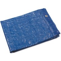 Budget Tarpaulin - 1.2 x 1.8m
Budget Tarpaulin - 1.2 x 1.8m
