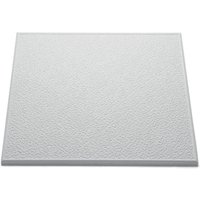 Stipple Ceiling Tiles - White - Coverage 2sq m - 8 Pack
Stipple Ceiling Tiles - White - Coverage 2sq m - 8 Pack