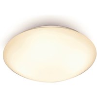 Dion Flush Ceiling Light, White
Dion Flush Ceiling Light, White