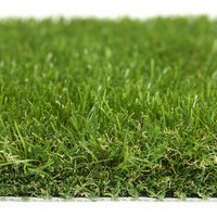 Nomow 40mm Luxury Lawn - 4m Width Roll - Artificial Grass
Nomow 40mm Luxury Lawn - 4m Width Roll - Artificial Grass