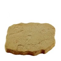 Stylish Stone Random Stepping Stone 400x300mm - Gold
Stylish Stone Random Stepping Stone 400x300mm - Gold