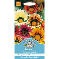 Mr. Fothergill's Gazania Sunshine Mixed (Gazania Splendens) Seeds
Mr. Fothergill's Gazania Sunshine Mixed (Gazania Splendens) Seeds