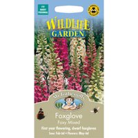 Mr. Fothergill's Foxglove Foxy Mixed (Digitalis Purpurea) Seeds 
Mr. Fothergill's Foxglove Foxy Mixed (Digitalis Purpurea) Seeds