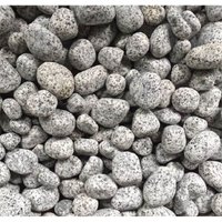 Silver Mist Pot Toppers - Handy Pack - 5kg
Silver Mist Pot Toppers - Handy Pack - 5kg