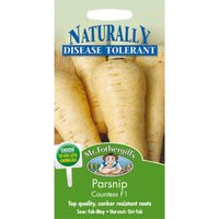 Mr. Fothergill's Parsnip Countess F1 Seeds 
Mr. Fothergill's Parsnip Countess F1 Seeds