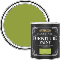 Rust-Oleum Gloss Furniture Paint - Key Lime - 750ml
Rust-Oleum Gloss Furniture Paint - Key Lime - 750ml