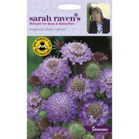 Sarah Ravens Scabious Blue Cushion Seeds
Sarah Ravens Scabious Blue Cushion Seeds