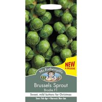 Mr. Fothergill's Brussels Sprout Brodie F1 Seeds
Mr. Fothergill's Brussels Sprout Brodie F1 Seeds