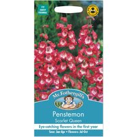 Mr. Fothergill's Penstemon Scarlet Queen Seeds
Mr. Fothergill's Penstemon Scarlet Queen Seeds