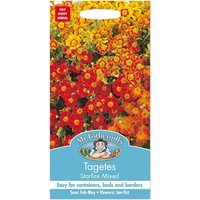 Mr. Fothergill's Tagetes Starfire Mixed Seeds
Mr. Fothergill's Tagetes Starfire Mixed Seeds