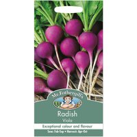 Mr. Fothergill's Radish Viola Seeds
Mr. Fothergill's Radish Viola Seeds