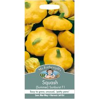 Mr. Fothergill's Squash Sunburst F1 Summer Seeds
Mr. Fothergill's Squash Sunburst F1 Summer Seeds