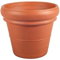 Terracotta Double Rim Pot - 35cm
Terracotta Double Rim Pot - 35cm