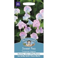 Mr. Fothergill's Sweet Pea Turqoise Lagoon 
Mr. Fothergill's Sweet Pea Turqoise Lagoon