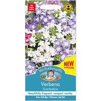 Mr. Fothergill's Verbena Scentsation Seeds
Mr. Fothergill's Verbena Scentsation Seeds