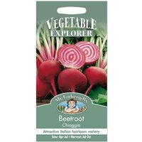 Mr. Fothergill's Beetroot Chioggia Seeds
Mr. Fothergill's Beetroot Chioggia Seeds