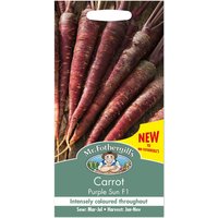 Mr. Fothergill's Carrot Purple Sun F1 Seeds
Mr. Fothergill's Carrot Purple Sun F1 Seeds