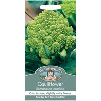 Mr. Fothergill's Cauliflower Romanesco Natalino Seeds
Mr. Fothergill's Cauliflower Romanesco Natalino Seeds