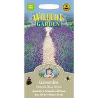 Mr. Fothergill's Lavender Hidcote Blue Strain (Lavandula Angustifolia) Seeds
Mr. Fothergill's Lavender Hidcote Blue Strain (Lavandula Angustifolia) Seeds