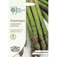 RHS Asparagus Connover's Colossal Seeds
RHS Asparagus Connover's Colossal Seeds