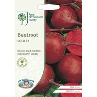 RHS Beetroot Solo F1 Seeds
RHS Beetroot Solo F1 Seeds