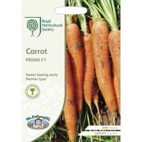 RHS Carrot Primo F1 Seeds
RHS Carrot Primo F1 Seeds