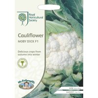 RHS Cauliflower Moby Dick F1 Seeds
RHS Cauliflower Moby Dick F1 Seeds