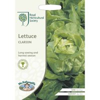 RHS Lettuce Clarion (Butterhead) Seeds
RHS Lettuce Clarion (Butterhead) Seeds