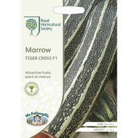 RHS Marrow Tiger Cross F1 Seeds
RHS Marrow Tiger Cross F1 Seeds