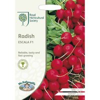 RHS Radish Escala F1 Seeds
RHS Radish Escala F1 Seeds