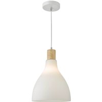 Opal Single Pendant Light
Opal Single Pendant Light