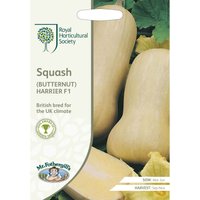 RHS Squash (Butternut) Harrier F1 Seeds
RHS Squash (Butternut) Harrier F1 Seeds