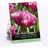 Tulip Blue Diamond
Tulip Blue Diamond