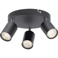 Travis Black 3 Light Spotlight Plate
Travis Black 3 Light Spotlight Plate