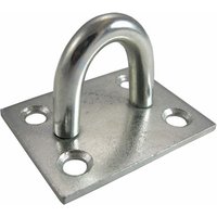 Security Staple - Zinc - 50mm 
Security Staple - Zinc - 50mm